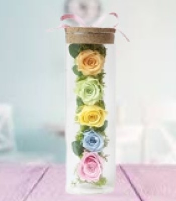 Glass Rose - Preserved Flowers