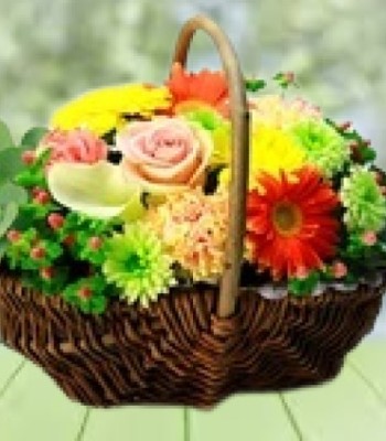 Populer Seasonal Flowers in Wicker Basket