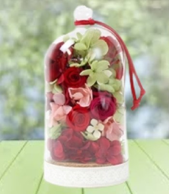Preserved Red Flowers in Glass Dome