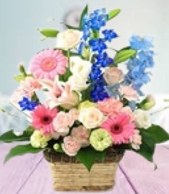 Feel Fresh - Seasonal Flowers Decorated in Fancy Basket