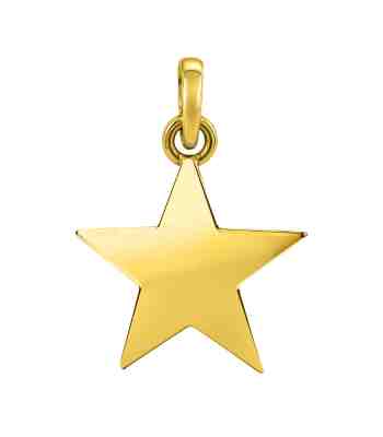 Stellar Star Pendant Gold-Plated Necklace In 925 Sterling Silver
