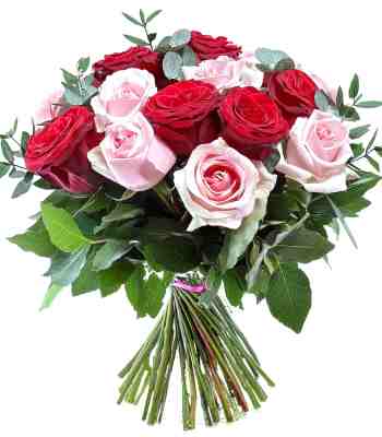 Birthday Roses
