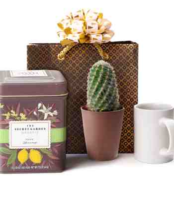 Cactus Plant & Tea Gift Set