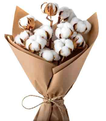 Christmas Cotton Blossom Bouquet