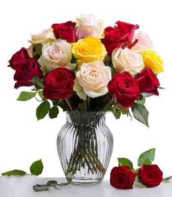 Dozen Roses