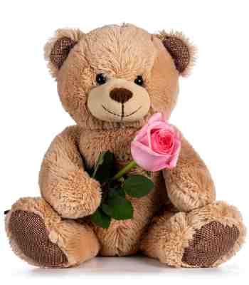 Light Brown Teddy Bear