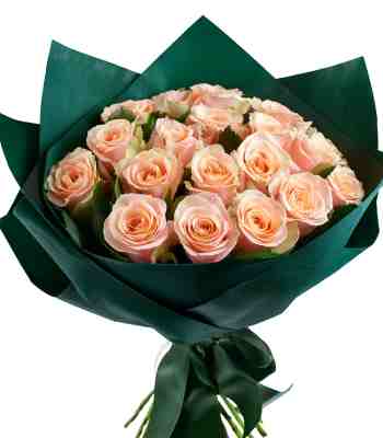Romantic Roses