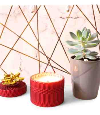 Succulent Plant & Scented Candle Gift Set