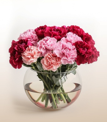 15 Carnations in a Fishbowl