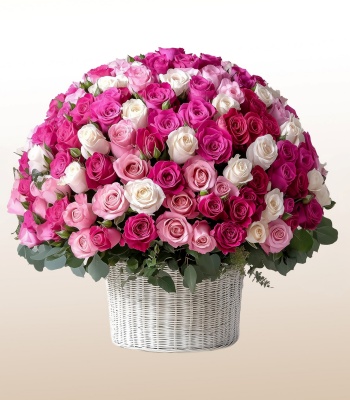 500 Roses in a Basket