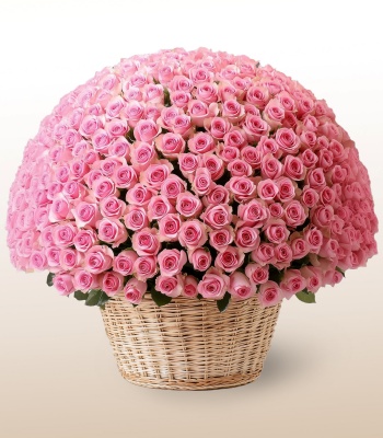 600 Roses in Elegant Rustic Basket