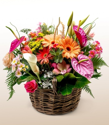 Gerbera, Lily & Alstroemeria Flower Basket