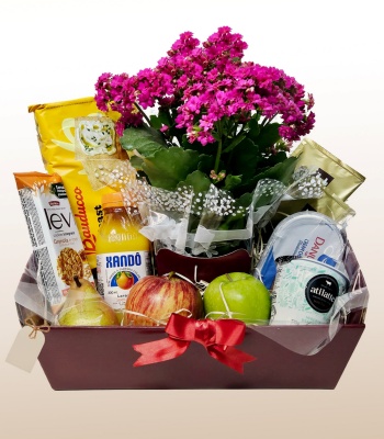 Gourmet Breakfast with Coffee and Kalanchoe