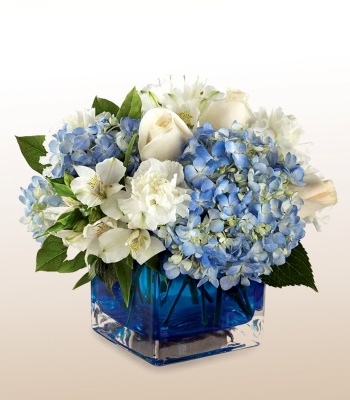 New Baby Boy Flowers