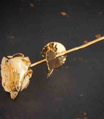 24K Gold Dipped Rose