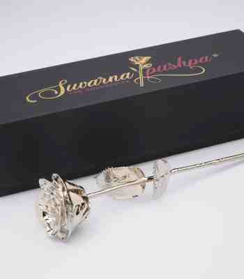 Platinum Plated Roses