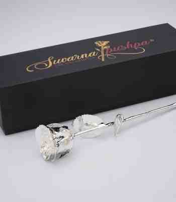 Silver Plated Rose