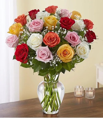 24 Mix Roses - Assorted Long Stem Roses