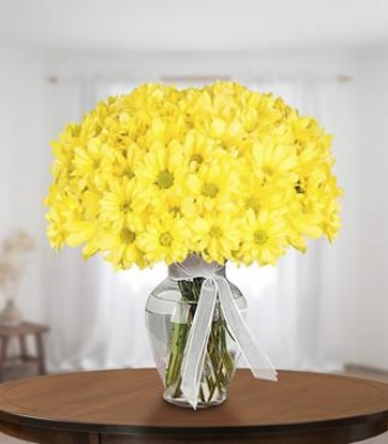40 Yellow Daisies in a Vase