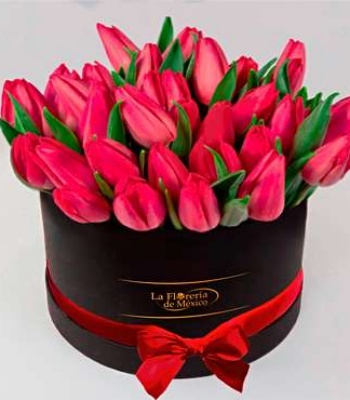 Black Box of Tulips