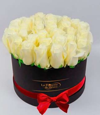 Black Box of White Roses