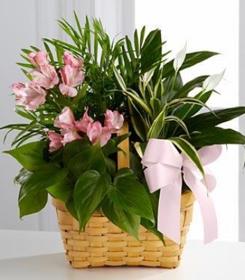 Mother's Day Love Basket