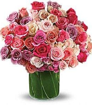 Valentines Day Pink Roses