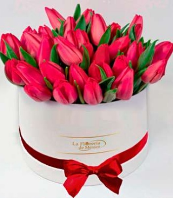 White Box of Tulips