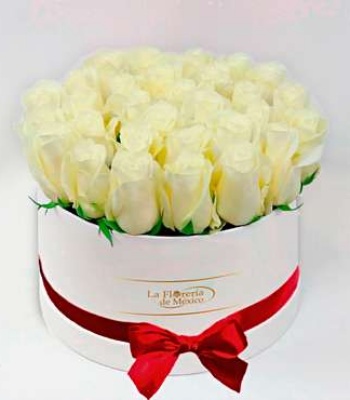 White Roses in White Box