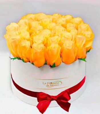 Yellow Roses in White Box