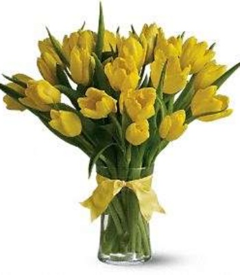 Yellow Tulips