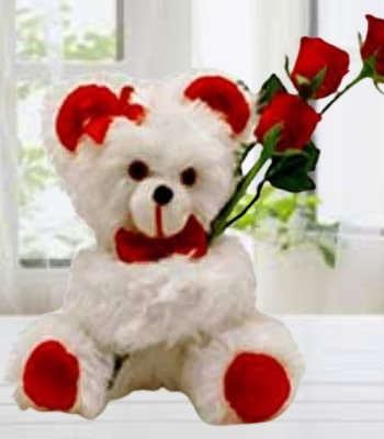 Red Rose Bouquet withTeddy Bear