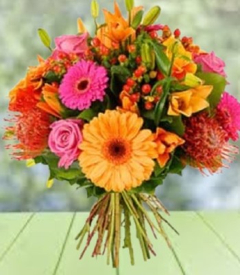 Seasonal Flowers - Orange and Pink Seasonal Flowers