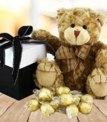 Chocolated Teddy