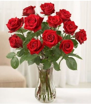 Dozen Red Rose Arrangement - Free Vase