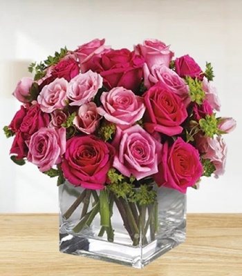 Light Pink And Hot Pink Roses