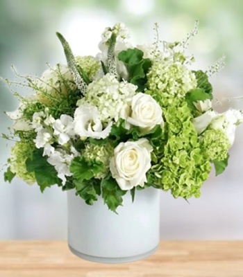 Sympathy Flowers in White Pot