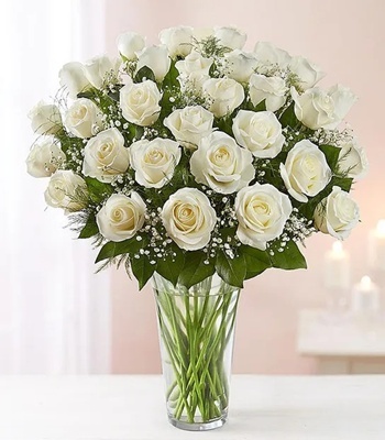 White Roses - Three Dozen Long Stemmed White Roses
