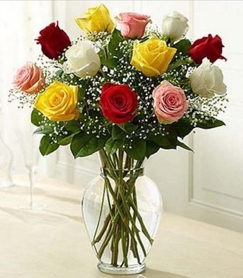 Assorted Roses - 24 Stems