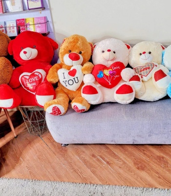 Teddy Bear - Soft And Cuddly