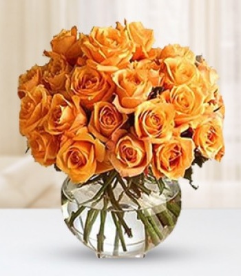 Orange Roses - 15 Long Stem Orange Roses