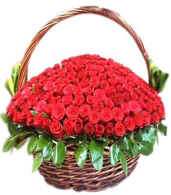 100 Red Roses Basket