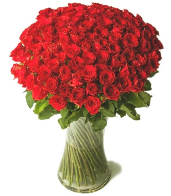 100 Red Roses in Vase