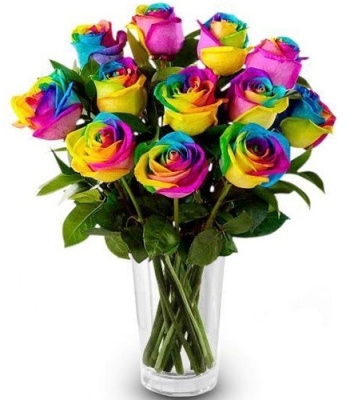 12 Rainbow Roses In Glass Vase
