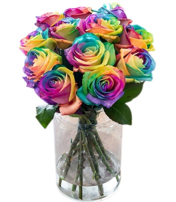 12 Rainbow Roses In Vase