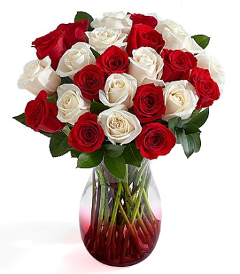 24 Red And White Roses In Vase