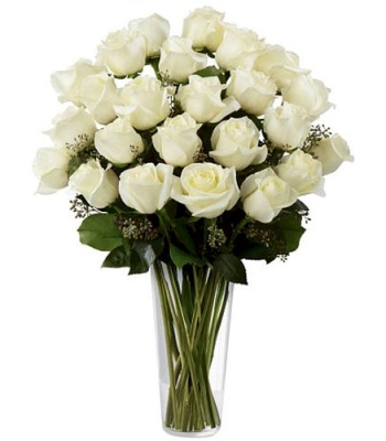 24 White Roses