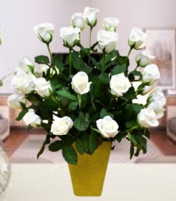 White Rose Arrangement with Green Fillers and Vase - 20 Stems