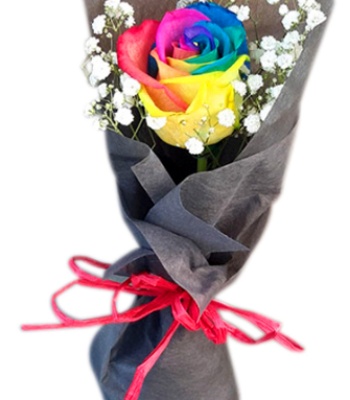 A Rainbow Rose Bouquet