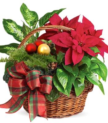 Christmas Homecoming Plant Basket